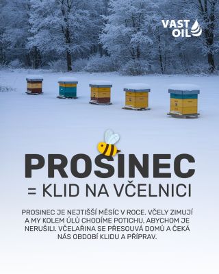 ✨Prosinec je pro včelaře nejklidnější měsíc v roce. Na včelnici se už nic nedělá, jen se tiše obchází kolem úlů, aby se...